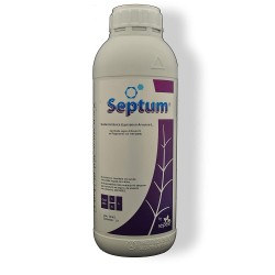 Septum 1 L