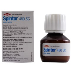 SPINTOR 48 50 CC