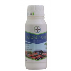 Oberon es un insecticida-acaricida que contiene spiromesifen, sustancia activa perteneciente a una nueva clase química (ketoenol