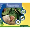 Solabiol Fungicida de Cobre ecológico para Plantas 100% orgánico con acción preventiva y curativa, Incoloro, Pack 2 x 500 g