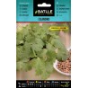 Batlle - Cilandro - Coriandrum Sativum (cilantro)