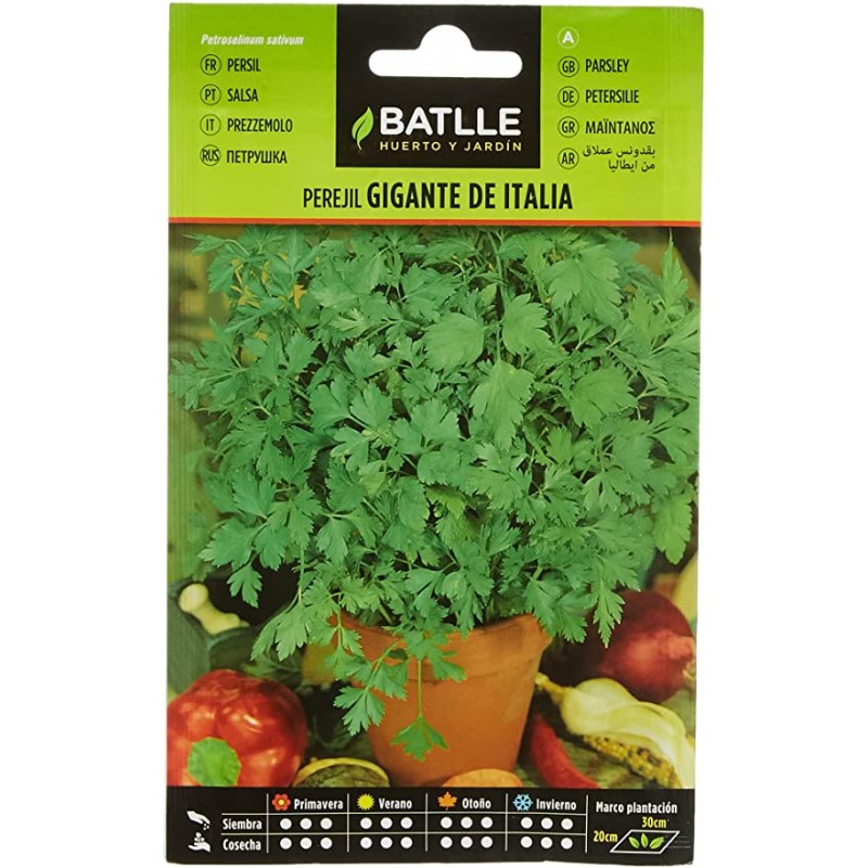 Batlle - Perejil Gigante De Italia