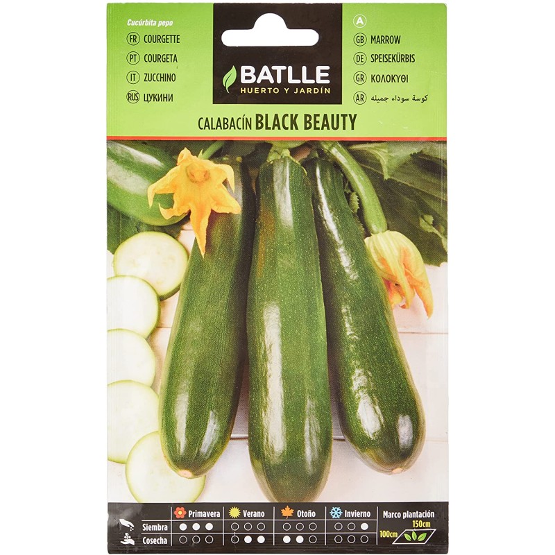 Batlle - Calabacin Black Beauty