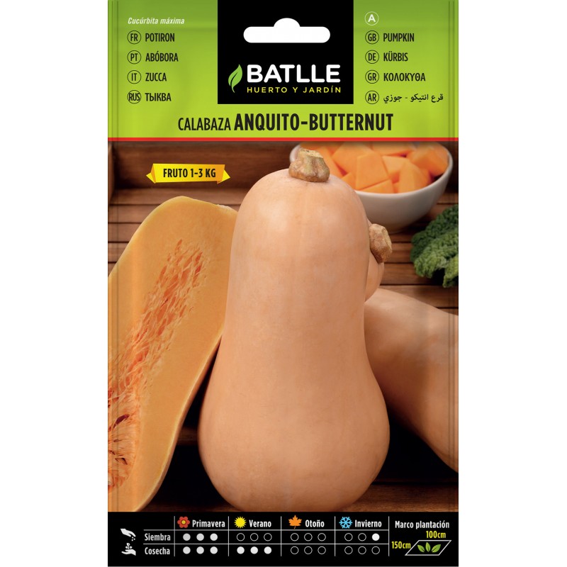 Batlle - Calabaza Anquito-Butternut