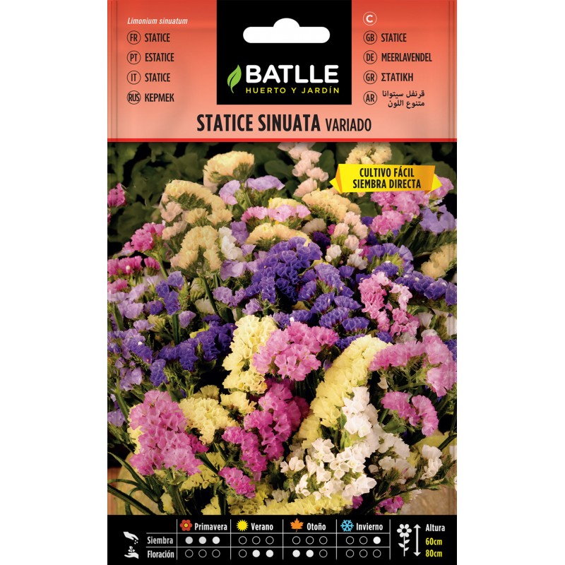 Batlle - Statice Sinuata Variado