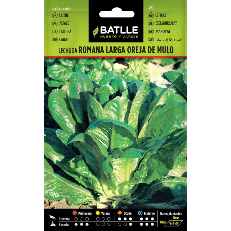 Batlle - Lechuga Romana Larga Verde