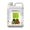 Agroxigreen Mg 5 L