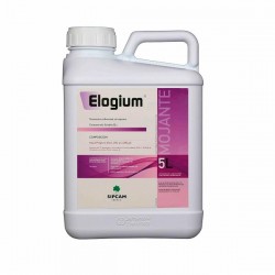Elogium (Mojante) 5 L