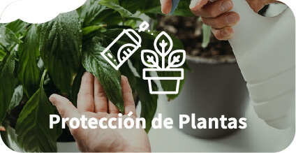 Protección de plantas